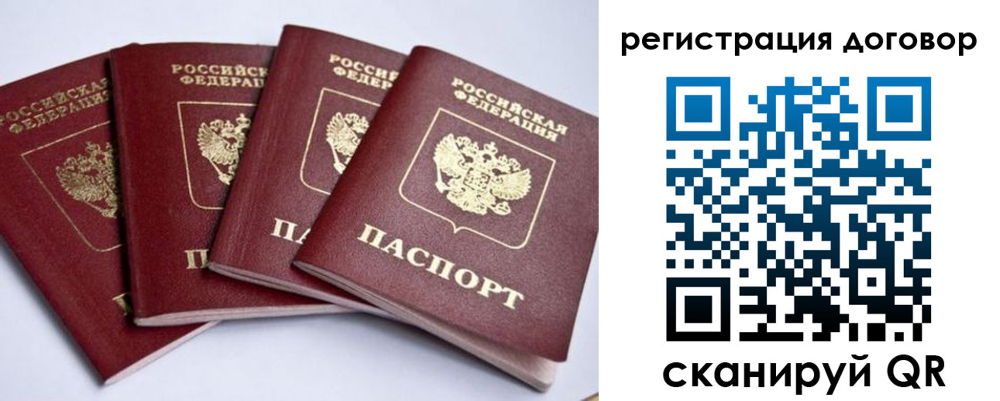 прописка поиск в Чите